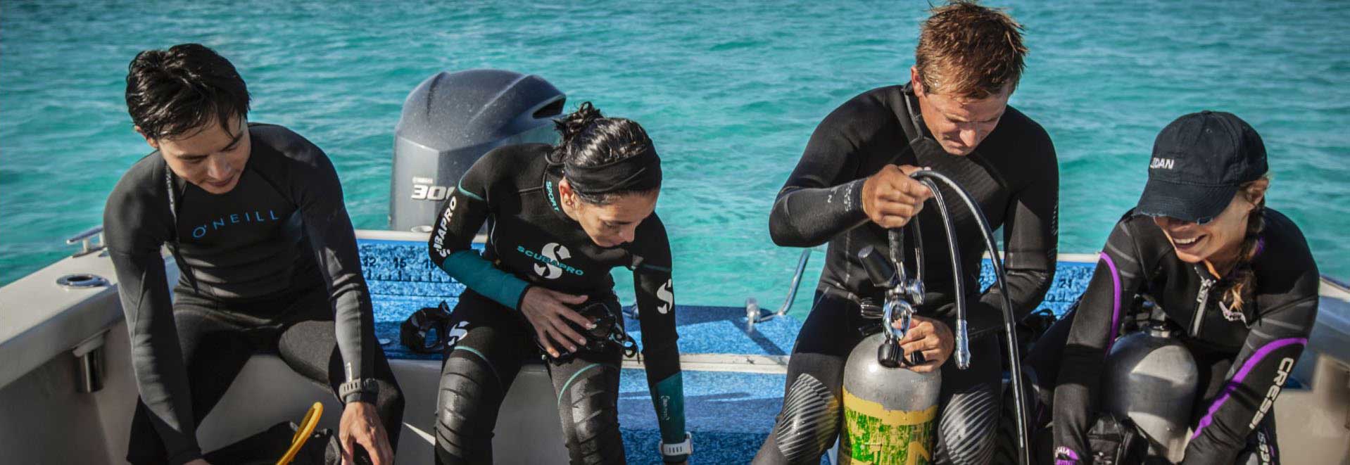 4 divers preparing to dive