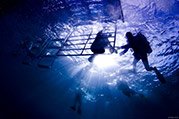 divers at dive ladder